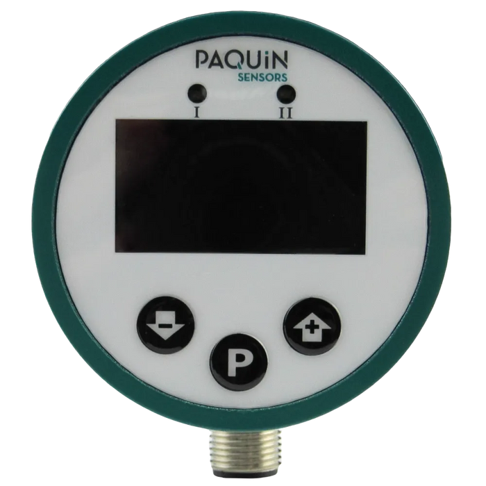 P75 Paddle Wheel Flow Meter