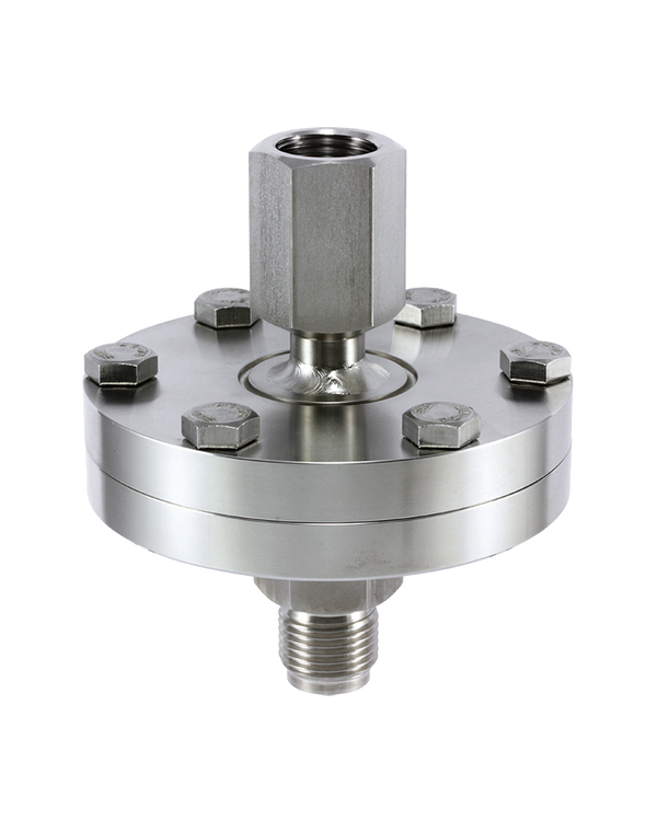 DD111 Diaphragm Seal with Threaded Instrument and Process Connections
